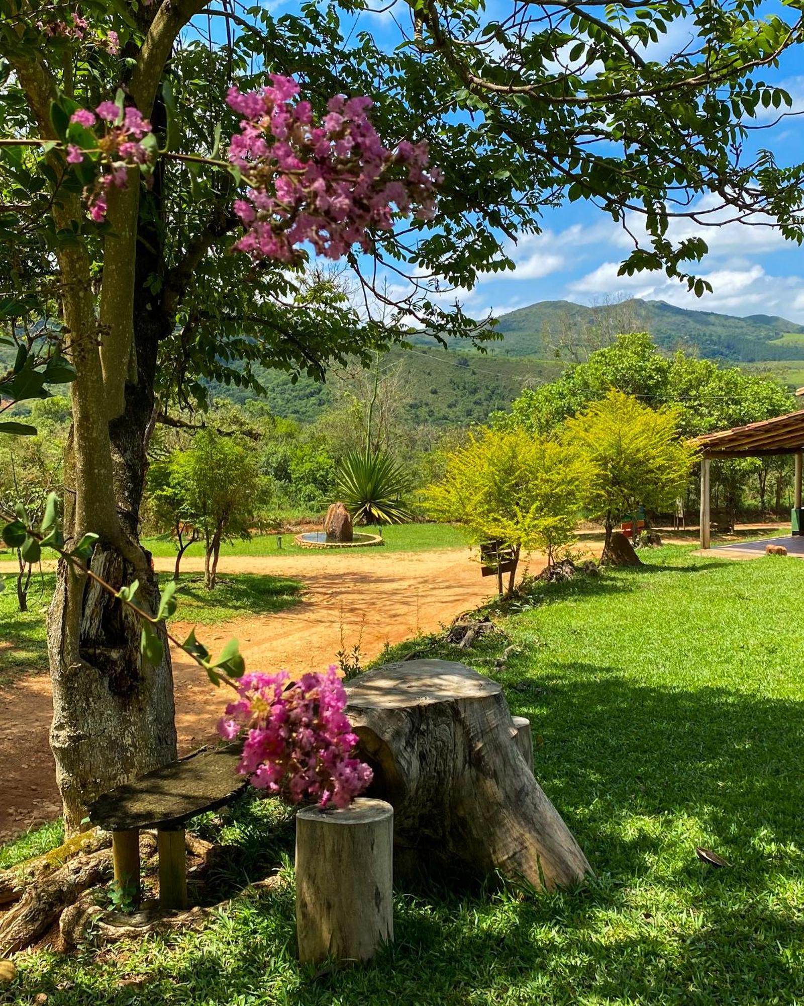 Pousada Velho Chico Vargem Bonita Eksteriør bilde